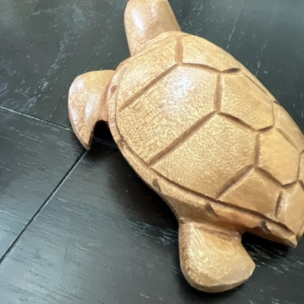 Wood Carved Turtle 5